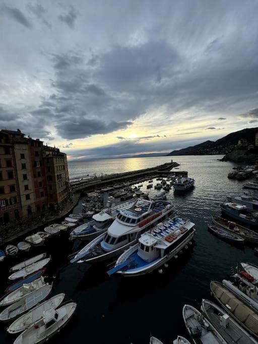 Attico Sul Porticciolo Antico Di Camogli Apartment Luaran gambar